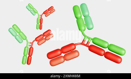 Le rendu 3d des anticorps bispécifiques ou BsAbs ont deux domaines de liaison distincts qui peuvent se lier à deux antigènes ou deux épitopes du même antigène sim Banque D'Images