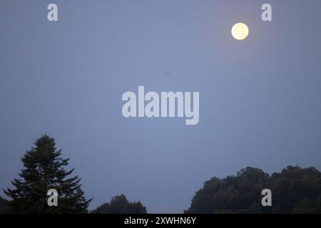 Limousin, France. 20 août 2024. Super Blue Moon (pas nécessairement perçu comme bleu) vu de la campagne Limousin tard dans la nuit. Le terme « super Lune » a été inventé par l'astrologue Richard Nolle en 1979 pour désigner une pleine lune qui se produit lorsque la Lune est à 90% de son approche la plus proche de la Terre. Alors que l'étoile se trouve à une distance moyenne de 384 400 km de la Terre, elle est située à environ 363 000 km de notre planète. La Lune apparaît donc 14% plus grande et 30% plus lumineuse que d'habitude. Crédit : photo de Hugo Martin/Alamy Live News. Banque D'Images