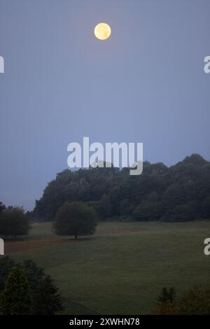 Limousin, France. 20 août 2024. Super Blue Moon (pas nécessairement perçu comme bleu) vu de la campagne Limousin tard dans la nuit. Le terme « super Lune » a été inventé par l'astrologue Richard Nolle en 1979 pour désigner une pleine lune qui se produit lorsque la Lune est à 90% de son approche la plus proche de la Terre. Alors que l'étoile se trouve à une distance moyenne de 384 400 km de la Terre, elle est située à environ 363 000 km de notre planète. La Lune apparaît donc 14% plus grande et 30% plus lumineuse que d'habitude. Crédit : photo de Hugo Martin/Alamy Live News. Banque D'Images