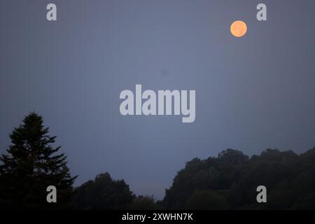 Limousin, France. 20 août 2024. Super Blue Moon (pas nécessairement perçu comme bleu) vu de la campagne Limousin tard dans la nuit. Le terme « super Lune » a été inventé par l'astrologue Richard Nolle en 1979 pour désigner une pleine lune qui se produit lorsque la Lune est à 90% de son approche la plus proche de la Terre. Alors que l'étoile se trouve à une distance moyenne de 384 400 km de la Terre, elle est située à environ 363 000 km de notre planète. La Lune apparaît donc 14% plus grande et 30% plus lumineuse que d'habitude. Crédit : photo de Hugo Martin/Alamy Live News. Banque D'Images