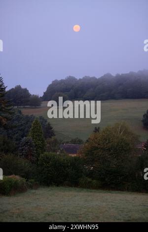 Limousin, France. 20 août 2024. Super Blue Moon (pas nécessairement perçu comme bleu) vu de la campagne Limousin tard dans la nuit. Le terme « super Lune » a été inventé par l'astrologue Richard Nolle en 1979 pour désigner une pleine lune qui se produit lorsque la Lune est à 90% de son approche la plus proche de la Terre. Alors que l'étoile se trouve à une distance moyenne de 384 400 km de la Terre, elle est située à environ 363 000 km de notre planète. La Lune apparaît donc 14% plus grande et 30% plus lumineuse que d'habitude. Crédit : photo de Hugo Martin/Alamy Live News. Banque D'Images