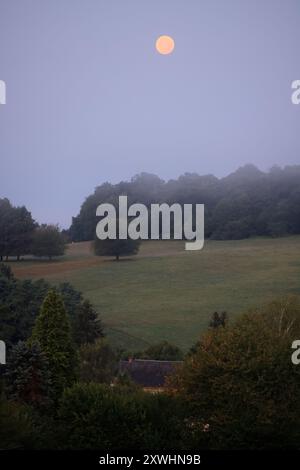 Limousin, France. 20 août 2024. Super Blue Moon (pas nécessairement perçu comme bleu) vu de la campagne Limousin tard dans la nuit. Le terme « super Lune » a été inventé par l'astrologue Richard Nolle en 1979 pour désigner une pleine lune qui se produit lorsque la Lune est à 90% de son approche la plus proche de la Terre. Alors que l'étoile se trouve à une distance moyenne de 384 400 km de la Terre, elle est située à environ 363 000 km de notre planète. La Lune apparaît donc 14% plus grande et 30% plus lumineuse que d'habitude. Crédit : photo de Hugo Martin/Alamy Live News. Banque D'Images