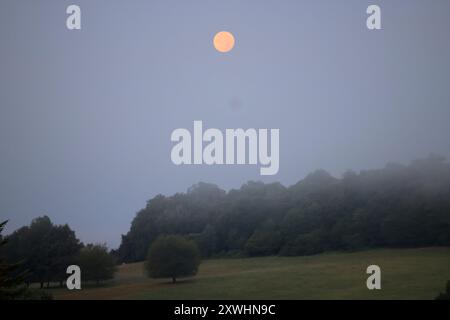 Limousin, France. 20 août 2024. Super Blue Moon (pas nécessairement perçu comme bleu) vu de la campagne Limousin tard dans la nuit. Le terme « super Lune » a été inventé par l'astrologue Richard Nolle en 1979 pour désigner une pleine lune qui se produit lorsque la Lune est à 90% de son approche la plus proche de la Terre. Alors que l'étoile se trouve à une distance moyenne de 384 400 km de la Terre, elle est située à environ 363 000 km de notre planète. La Lune apparaît donc 14% plus grande et 30% plus lumineuse que d'habitude. Crédit : photo de Hugo Martin/Alamy Live News. Banque D'Images