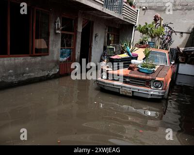 Chalco, Mexique. 19 août 2024. Pendant dix-huit jours consécutifs, de fortes pluies ont touché des milliers de personnes, provoquant des inondations atteignant un mètre et demi de haut ; cela a généré de grandes pertes matérielles et économiques ; parallèlement à cette situation, les eaux usées affectent la santé des habitants du quartier de Culturas de Mexico et des environs le 19 août 2024 à Chalco, État de Mexico, Mexique. (Photo de Josue Perez/Sipa USA) crédit : Sipa USA/Alamy Live News Banque D'Images