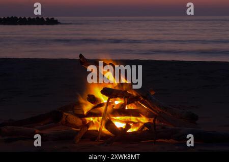 Driftwood camp feu des flammes jaunes brûlant sur la plage de sable Banque D'Images