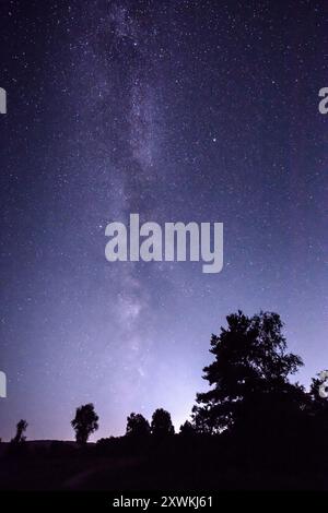 La galaxie de la voie lactée s'élève au-dessus d'Iping Common dans le parc national de South Downs Banque D'Images