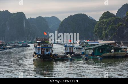 Village de pêcheurs flottant île de roche dans la baie d'Halong Vietnam, Asie du Sud-est. Patrimoine mondial de l'UNESCO. Paysage. Célèbre site asiatique célèbre destinatio Banque D'Images