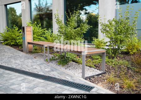 Vue en perspective du chemin pavé avec pelouse verte, herbe décorative et bancs en bois modernes devant des bacs de gabion en fil de fer et remplis de Banque D'Images