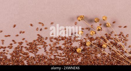 Graines de lin marron sur fond beige Banque D'Images