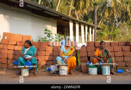 GOA, Inde - 28 février 2024 : de vieilles femmes locales vendent du poisson dans la rue. Banque D'Images