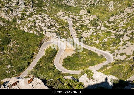 Vue aérienne de la route sinueuse (Ruta de sa Calobra) à travers les montagnes de Serra de Tramuntana à sa Calobra, Majorque, Îles Baléares, Espagne Banque D'Images