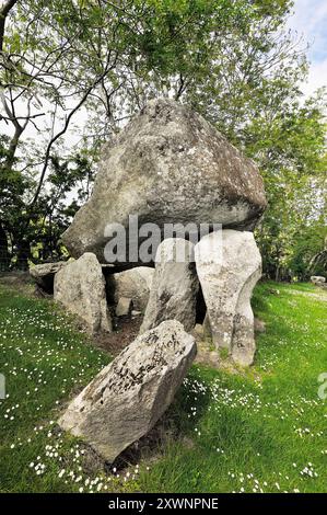 Goward Dolmen, appelé aussi Cloghmore Cromlech. Hilltown, comté de Down, Irlande du Nord. Chambre funéraire mégalithique préhistorique Banque D'Images