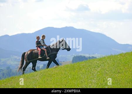 RÉGION DE TCHERNIVTSI, UKRAINE - 31 JUILLET 2024 - des enfants montent à cheval dans les Carpates, district de Vyzhnytsia, région de Tchernivtsi, ouest de l'Ukraine. Banque D'Images