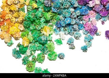 Pretty Floral Small Flowers Babies Breath sur fond blanc pour mariages ou Design Banque D'Images