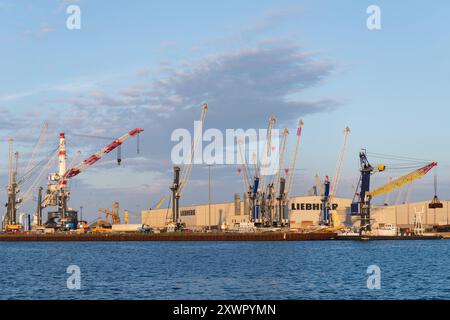 Liebherr Werk à Rostock-Warnemünde, 10.08.2024, Hafen Kräne Kräne von Liebherr *** usine Liebherr à Rostock Warnemünde, 10 08 2024, grues portuaires grues Liebherr 20240810-DSC 4137 Banque D'Images