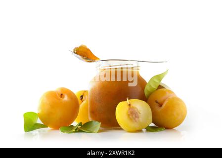Pot de confiture de prunes isolé sur fond blanc avec des fruits autour reflétés dans la base. Vue de face. Banque D'Images
