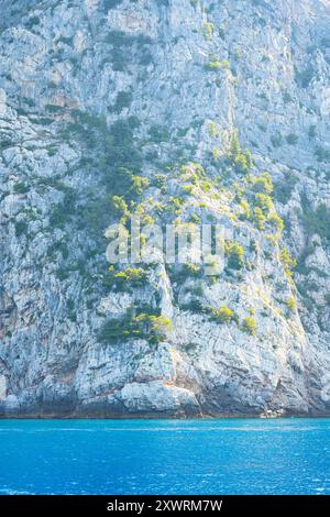 Belle vue sur les rochers partiellement végétalisés dans le parc national des Cinque Terre à la mer Ligure près de la Spezia, Italie Banque D'Images