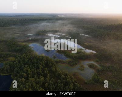 Nature de l'Estonie, marais de Seli au lever du soleil, brouillard des lacs, vue photo depuis un drone. Banque D'Images