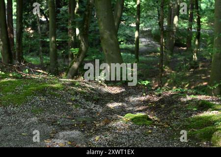 Kassel, Allemagne. 19 août 2024. Sortie d'un canal de drainage à Bergpark Wilhelmshöhe. Bergpark Wilhelmshöhe, le plus grand parc de montagne d'Europe et classé au patrimoine mondial de l'UNESCO, est unique au monde et célèbre pour sa richesse en arbres et plantes, ses musées, Hercule et les fontaines tricks. Crédit : Swen Pförtner/dpa/Alamy Live News Banque D'Images