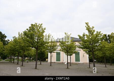 Kassel, Allemagne. 19 août 2024. Des châtaigniers se dressent devant la salle de bal du Bergpark Wilhelmshöhe. Bergpark Wilhelmshöhe, le plus grand parc de montagne d'Europe et classé au patrimoine mondial de l'UNESCO, est unique au monde et célèbre pour sa richesse en arbres et en plantes, ses musées, l'Hercule et les fontaines tricks. Crédit : Swen Pförtner/dpa/Alamy Live News Banque D'Images