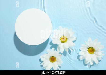 Belles fleurs de Marguerite et podium de forme ronde dans l'eau sur fond bleu clair, pose plate Banque D'Images