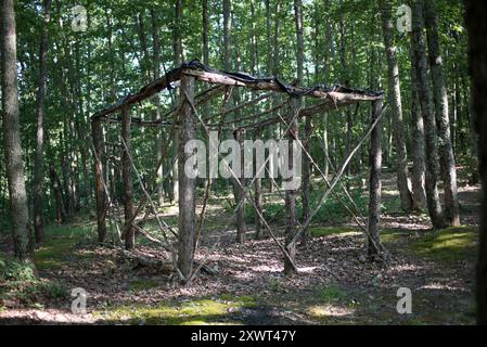 Une vieille structure rustique en bois dans une forêt dense, avec la lumière du soleil filtrant à travers les grands arbres. Cette scène évoque un sentiment de solitude, de nature et de passage du temps. Idéal pour les concepts de pourriture, de survie et de beauté naturelle. Banque D'Images