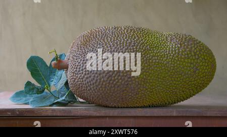 Jackfruit vert avec des feuilles sur une table Banque D'Images