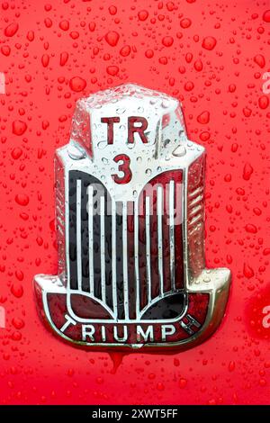 Écusson de capot de voiture chromé classique Triumph TR3 vintage et logo avec gouttes de pluie sur peinture élevée Banque D'Images