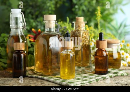 Différentes teintures en bouteilles et herbes médicinales sur table en bois Banque D'Images