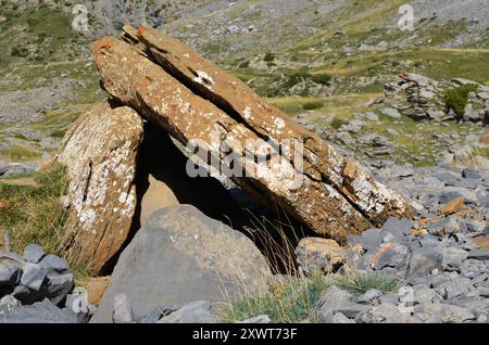 Dolmen d'Izagra dans la vallée d'Aisa, Pyrénées occidentales Banque D'Images