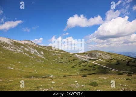 Un sentier de terre sinueux mène à Fischerhütte sur Schneeberg, en Autriche, traversant les pentes herbeuses et rocheuses sous un ciel bleu vibrant. La terre alpine sereine Banque D'Images