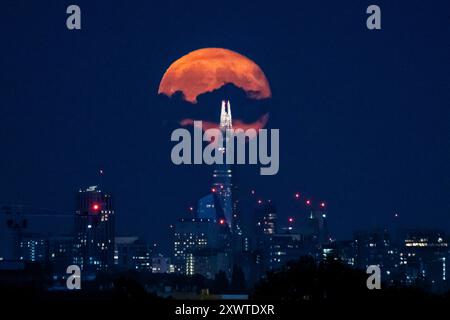 Londres, Royaume-Uni. 20 août 2024. Météo britannique – Une lune gibbbeuse de 99% décroissante se lève derrière le Shard et la skyline de la capitale, le lendemain de la pleine lune d’août. Connue sous le nom de lune de l’esturgeon selon l’Almanach Old Farmer’s en raison du grand nombre de poissons esturgeons qui ont été trouvés dans les grands Lacs en Amérique du Nord à cette période de l’année, la pleine lune d’août est également connue comme une « superlune bleue » apparaissant plus lumineuse et plus grande car elle sera à son point le plus proche de la Terre dans son orbite. Credit : Stephen Chung / Alamy Live News Banque D'Images