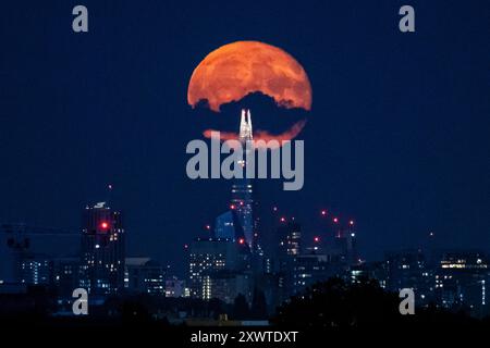 Londres, Royaume-Uni. 20 août 2024. Météo britannique – Une lune gibbbeuse de 99% décroissante se lève derrière le Shard et la skyline de la capitale, le lendemain de la pleine lune d’août. Connue sous le nom de lune de l’esturgeon selon l’Almanach Old Farmer’s en raison du grand nombre de poissons esturgeons qui ont été trouvés dans les grands Lacs en Amérique du Nord à cette période de l’année, la pleine lune d’août est également connue comme une « superlune bleue » apparaissant plus lumineuse et plus grande car elle sera à son point le plus proche de la Terre dans son orbite. Credit : Stephen Chung / Alamy Live News Banque D'Images