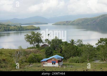 Blick auf den Sentani Voir. Zahlreiche Berge und Erhebungen wurden abgeholzt. Der Sentani See ist das größte Binnensee in West-Papua und ist sehr unregelmäßig geformt. In der Umgebung des Sees leben etwa 30,000 Menschen der Volksgruppe der Sentani in 30 Dörfern, die sich von Fischen des Sees, Tieren, Früchten und Gemüse der Umwelt ernähren. Der See entstand möglicherweise durch eine tektonische Anhebung, belegt ist dies allerdings nicht. IM Norden befindet sich bergiges Gelände, im Süden wird es flacher. DAS Einzugsgebiet beträgt etwa 600 Quadratkilomètre mit mittleren Jahresniederschlägen von Banque D'Images