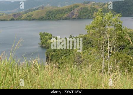 Blick auf den Sentani Voir. Zahlreiche Berge und Erhebungen wurden abgeholzt. Der Sentani See ist das größte Binnensee in West-Papua und ist sehr unregelmäßig geformt. In der Umgebung des Sees leben etwa 30,000 Menschen der Volksgruppe der Sentani in 30 Dörfern, die sich von Fischen des Sees, Tieren, Früchten und Gemüse der Umwelt ernähren. Der See entstand möglicherweise durch eine tektonische Anhebung, belegt ist dies allerdings nicht. IM Norden befindet sich bergiges Gelände, im Süden wird es flacher. DAS Einzugsgebiet beträgt etwa 600 Quadratkilomètre mit mittleren Jahresniederschlägen von Banque D'Images