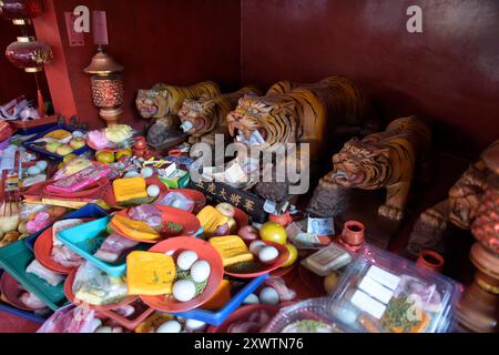 IM Tempelkomplex Jin de Yuan auch Vihara Dharma Bhaki genannt haben die Gläubigen viel Obst und Geld gespendet. Der Tempelkomplex besteht aus drei Tempeln, die verschiedenen Gottheiten gewidmet sind. Dieser wurde 1650 von dem chinesischen Leutnant Guo Xun Guan zu Ehren der Göttin der Barmherzigkeit errichet. Nach der Zerstörung während der Massaker an den Chinesen wurde er 1755 neu aufgebaut und 1890 nochmals restauriert. Bis 2015 standen im Innern jahrhundertealte buddhistische und taoistische Figuren, Glocken, Trommeln und meterhohe Kerzen. während des chinesischen Laternenfestes Cap Go Meh Banque D'Images