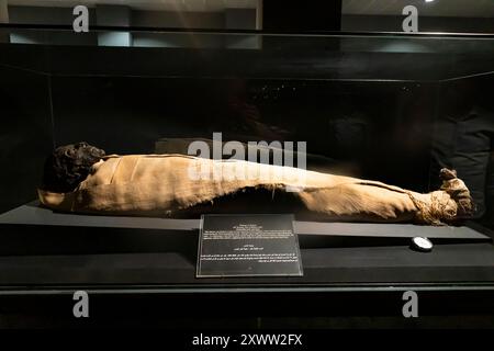Musée de Louxor, momie du roi Ahmôsis Ier, Deir el Bahari, Louxor, Egypte, Afrique du Nord, Afrique Banque D'Images
