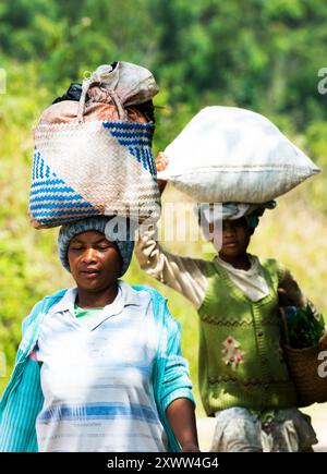 Villageois malgaches marchant vers leur village près du parc national Andasibe à Madagascar. Banque D'Images