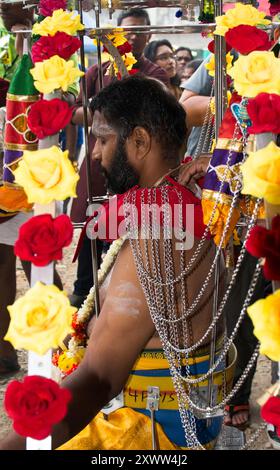 Le festival coloré et unique de Thaipusam célébré par les Tamouls hindous à Kuala Lumpur, en Malaisie. Banque D'Images