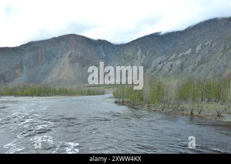 Inondation printanière sur une large rivière qui descend des montagnes à travers une vallée forestière pittoresque. Rivière Chuya, Altaï, Sibérie, Russie. Banque D'Images