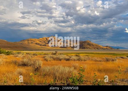 La lumière chaude du soleil de fin d'après-midi tombe sur la région de White Rock Bay dans le parc d'État d'Antelope Island, Syracuse, comté de Davis, Utah, États-Unis. Banque D'Images