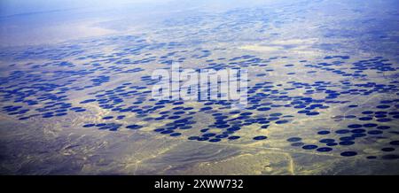 Vue aérienne des champs d'agriculture circulaire dans le désert arabe en Arabie Saoudite. Banque D'Images