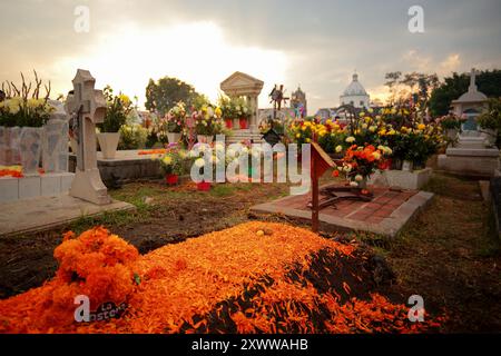 Ciudad de Mexico, Mexique - 2 novembre. 2023 : fleurs et pétales de fleurs de cempazuchil décorant les tombes de Mixquic Banque D'Images