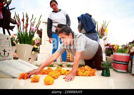 Ciudad de Mexico, Mexique - 2 novembre. 2023 : une femme âgée dépose des fleurs de cempasuchil sur une tombe dans le cimetière de Mixquic Banque D'Images