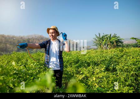 Un homme dans une chemise bleue et un chapeau pulvérise un champ de plantes vertes. Le champ est luxuriant et plein de vie, et l'homme semble apprécier son travail Banque D'Images