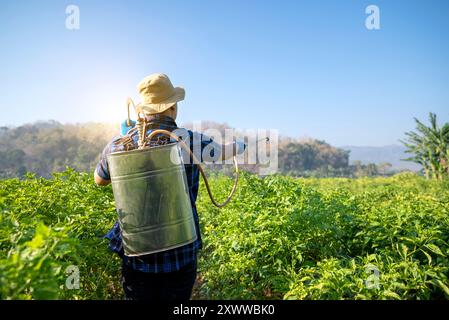 Un homme dans une chemise bleue et un chapeau pulvérise un champ de plantes vertes. Le champ est luxuriant et plein de vie, et l'homme semble apprécier son travail Banque D'Images