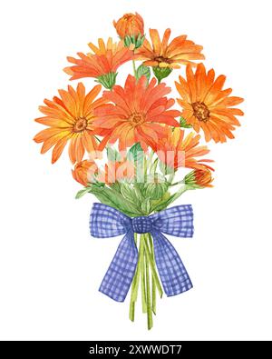 Un bouquet de fleurs orangées nouées avec un ruban violet. Calendula, illustration aquarelle isolée sur fond blanc. Plante médicinale, qui en fait partie Banque D'Images