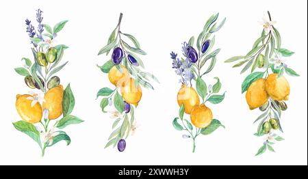 Une composition de citrons, de lavande et de branches d'oliviers. Bouquet dans le style de la Provence. Une composition de fruits pour décorer les plats, les invitations, nous Banque D'Images