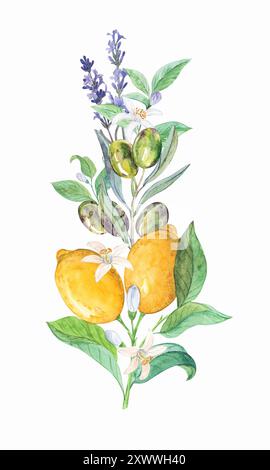 Une composition de citrons, de lavande et de branches d'oliviers. Un bouquet dans le style de la Provence. Une composition de fruits pour décorer les plats, invitations, Banque D'Images