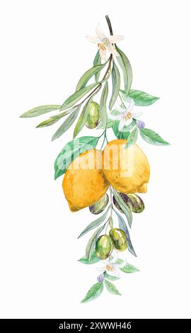 Une composition de citrons et de branches d'oliviers. Accrocher un bouquet dans le style de la Provence. Une composition de fruits pour décorer les plats, invitation Banque D'Images